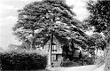 TRENT COTTAGE